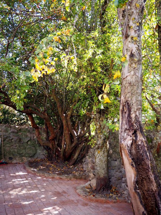 La Casa De Los Abuelos Valentin Pinilla del Valle Экстерьер фото